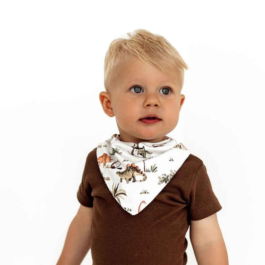 Snuggle Hunny Dribble Bib- Dino